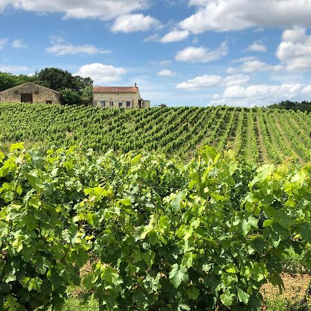 Chateau Le Truch 蒙桑 外观 照片