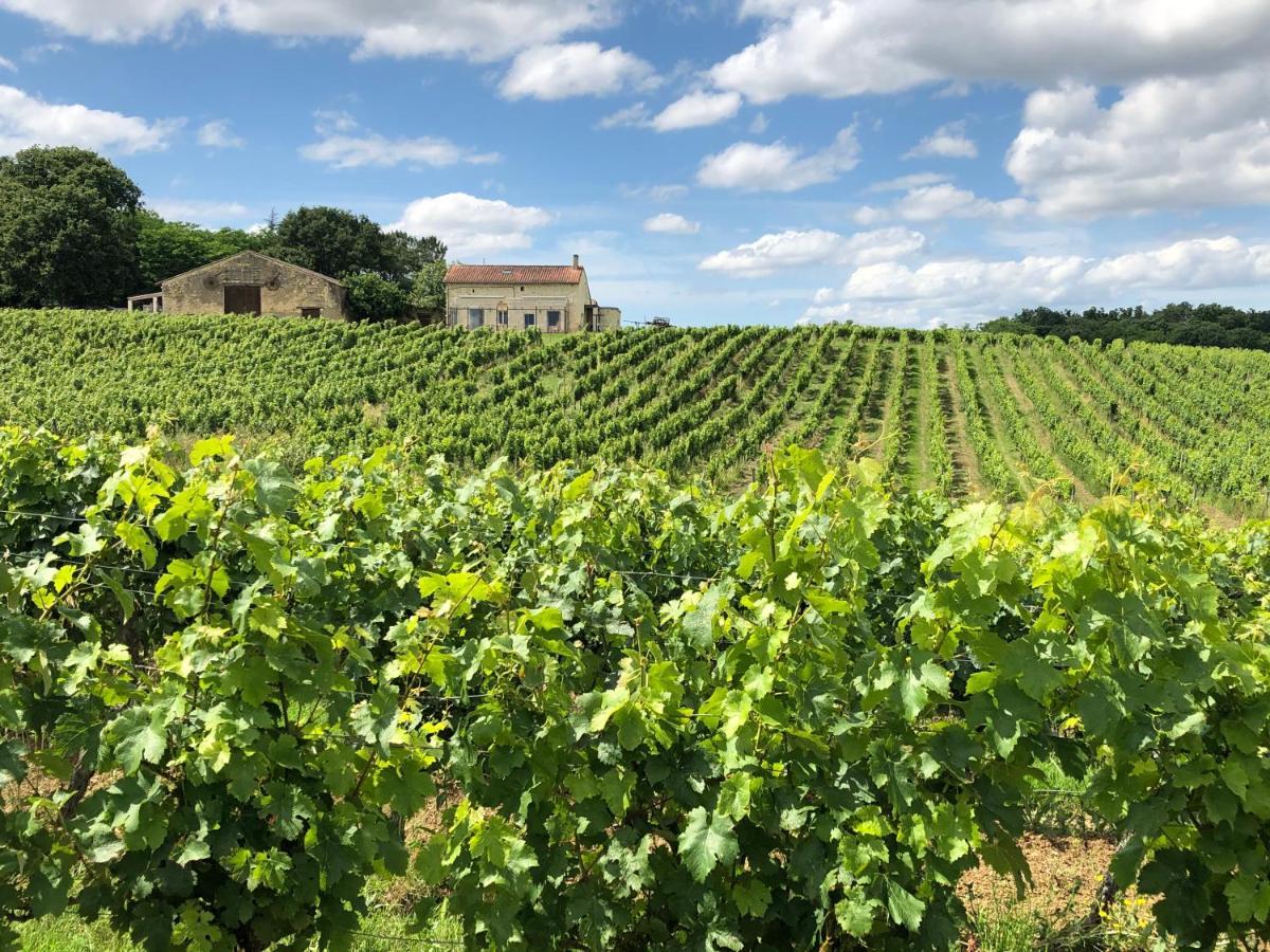 Chateau Le Truch 蒙桑 外观 照片
